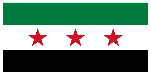 https://www.reddit.com/r/Syria/comments/1h9gwjq/the_official_flag_of_the_republic_of_syria_2025/